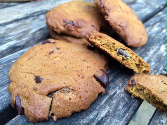 01d164000df1f1b5a5538569cc74ddfdd45e574264